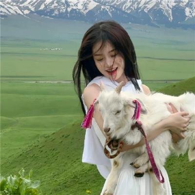 无家者的归途